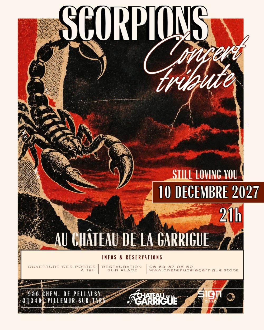 AFFICHE TRIBUTE SCORPIONS